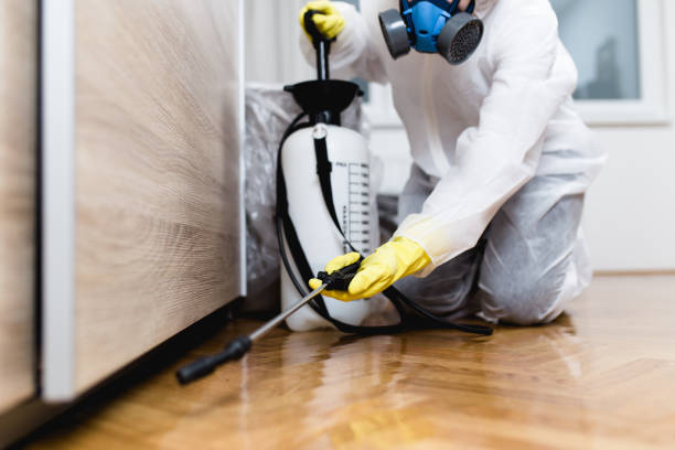 Pest Control for Restaurants in Fairview, TX