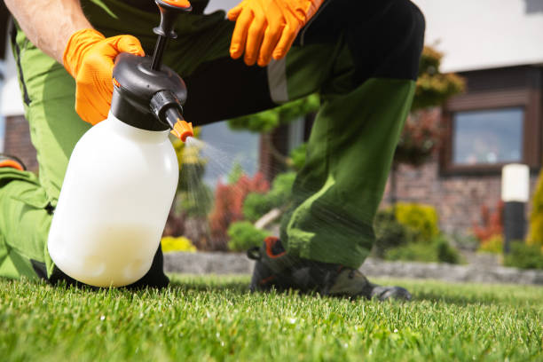 Best Residential Pest Control  in Fairview, TX