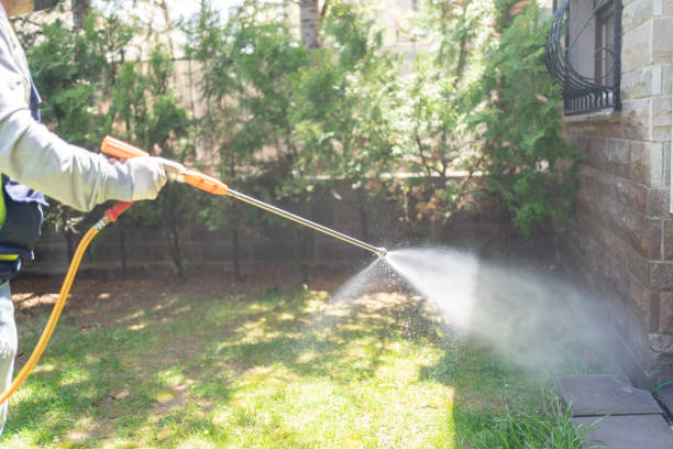 Best Rodent Control Near Me  in Fairview, TX
