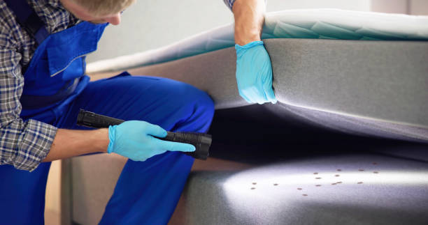 Best Pest Prevention Services  in Fairview, TX