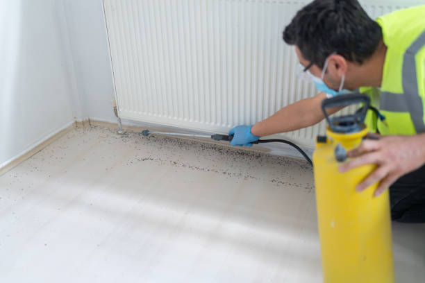 Best Affordable Pest Control Services  in Fairview, TX